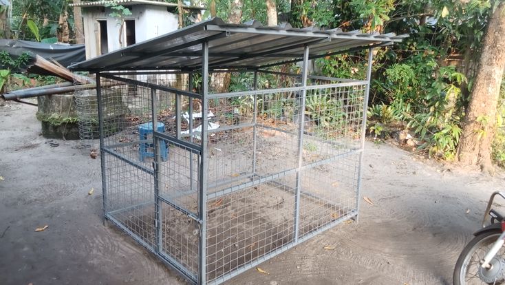Người chăn nuôi phun thuốc sát trùng chuồng trại, hỗ trợ cách trị gà khò khè bằng thuốc Tây để ngăn ngừa bệnh tái phát.